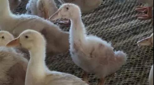 1565249622747160.jpg 微信图片_20190808153041.jpg