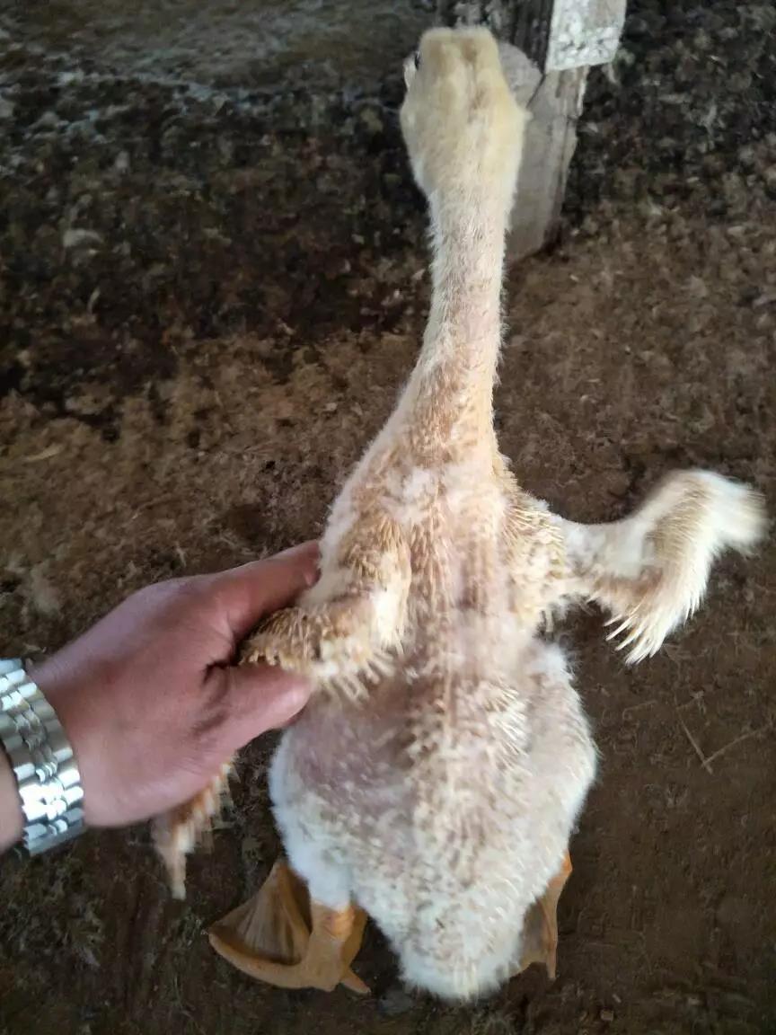 1565249695817216.jpg 微信图片_20190808153046.jpg