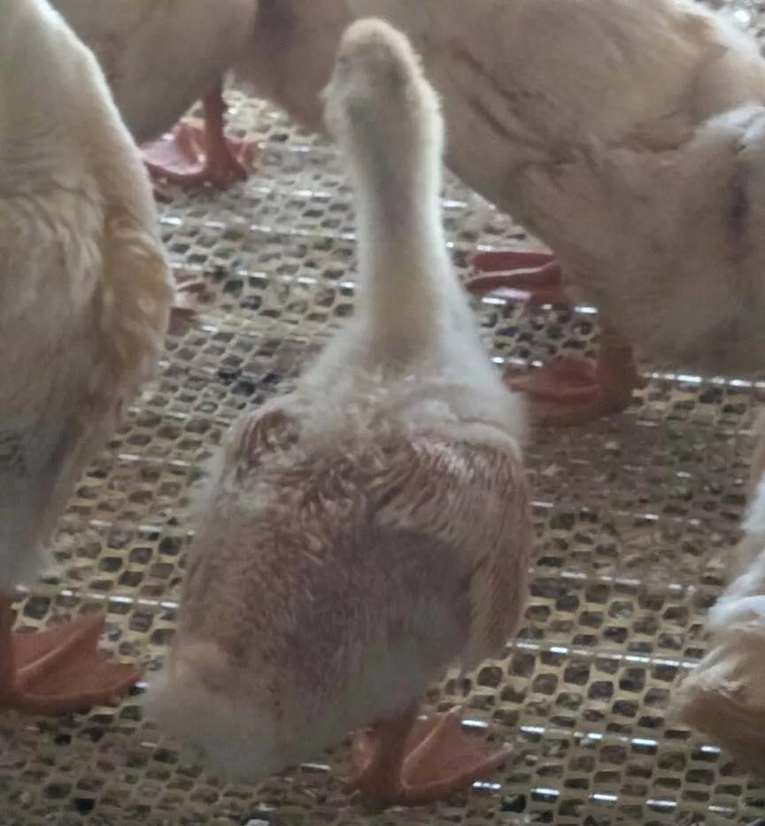 1565249717120437.jpg 微信图片_20190808153051.jpg