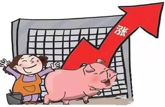 微信图片_20190810105758.jpg