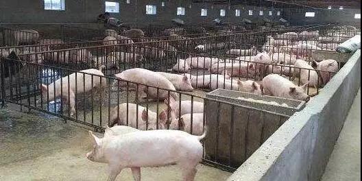 1565769177136247.jpg 微信图片_20190814154946.jpg