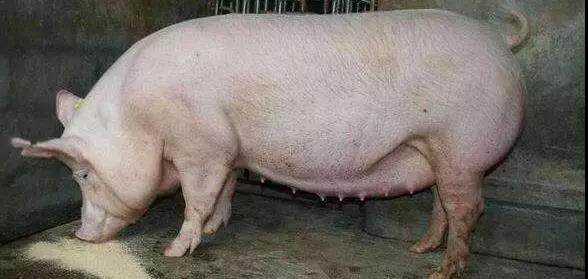 1565769181137546.jpg 微信图片_20190814154949.jpg