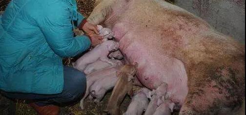 1565769187404584.jpg 微信图片_20190814154954.jpg