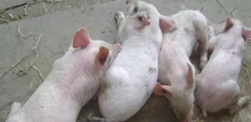 1566867045125661.jpg 微信图片_20190827084723.jpg