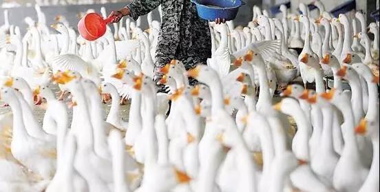 1569308216267614.jpg 微信图片_20190924145442.jpg