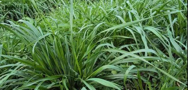 1569308220476490.jpg 微信图片_20190924145445.jpg