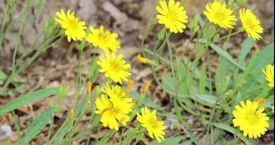 1569308224121345.jpg 微信图片_20190924145447.jpg