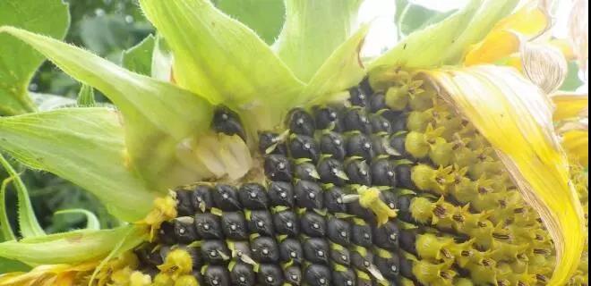 1569308267162229.jpg 微信图片_20190924145454.jpg