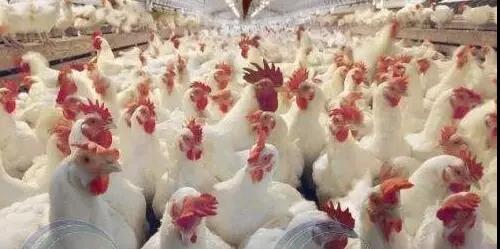 1571186004389007.jpg 微信图片_20191016083006.jpg