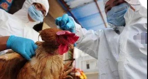 1571186015983448.jpg 微信图片_20191016083003.jpg