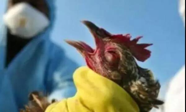 1571186026883528.jpg 微信图片_20191016082957.jpg