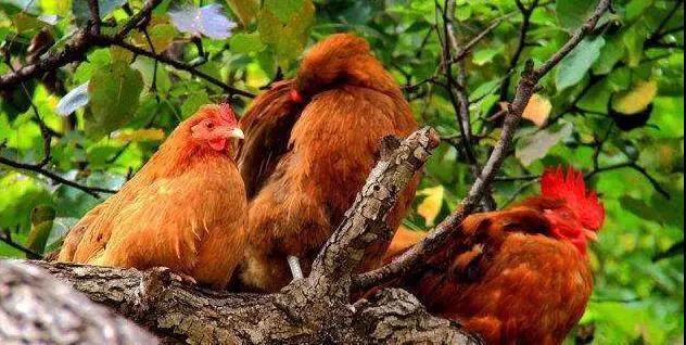 1572426932756068.jpg 微信图片_20191030171256.jpg