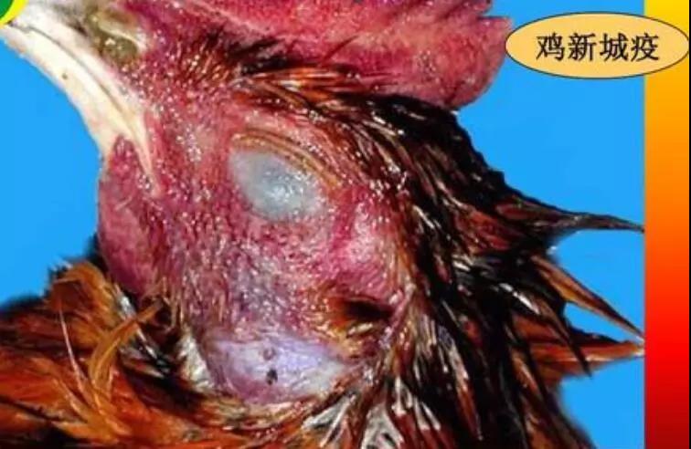 1572426940539102.jpg 微信图片_20191030171259.jpg