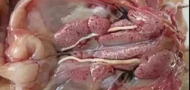 1572426950983706.jpg 微信图片_20191030171302.jpg