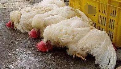 1572426960119094.jpg 微信图片_20191030171305.jpg