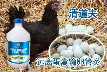 1572829989638505.jpg 微信图片_20191104090947.jpg