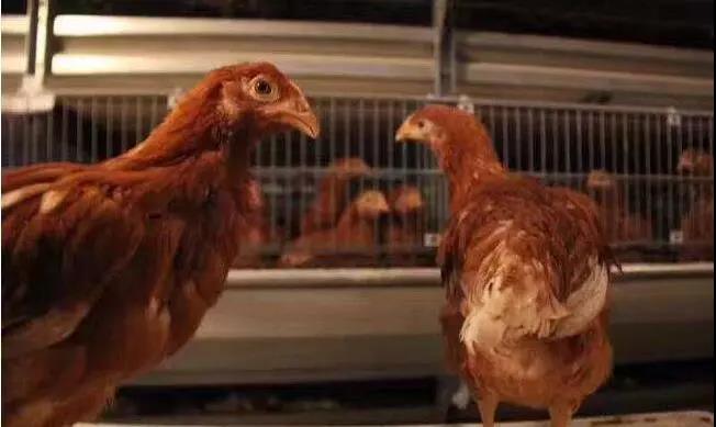 1572829994973723.jpg 微信图片_20191104090951.jpg