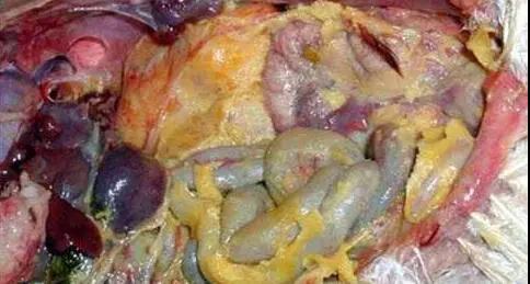 1572830003140464.jpg 微信图片_20191104090954.jpg