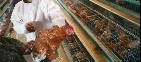 1572830014251305.jpg 微信图片_20191104090957.jpg