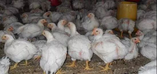 1572937001129004.jpg 微信图片_20191105145354.jpg