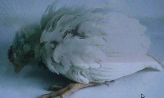 1572937007101972.jpg 微信图片_20191105145357.jpg