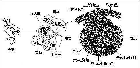 1572937012792774.jpg 微信图片_20191105145401.jpg