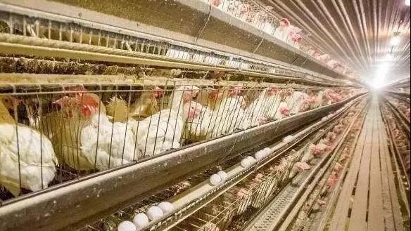 1573087088834988.jpg 微信图片_20191107083517.jpg