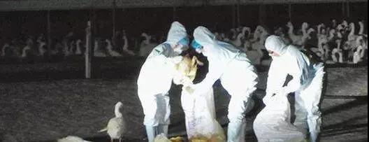 1573087094111443.jpg 微信图片_20191107083521.jpg