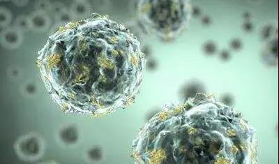 1573087102977337.jpg 微信图片_20191107083523.jpg