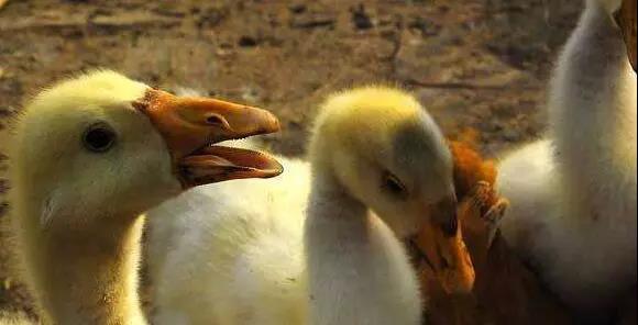 1573087109462247.jpg 微信图片_20191107083526.jpg