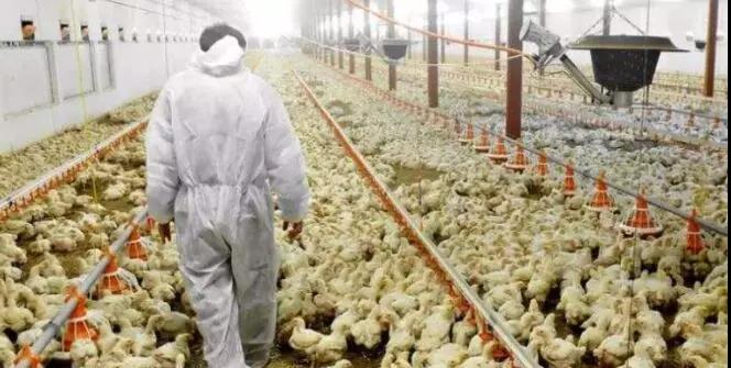 1574296622358368.jpg 微信图片_20191121083253.jpg