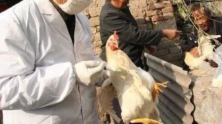 1574296632674221.jpg 微信图片_20191121083259.jpg