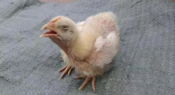 1576803740397269.jpg 微信图片_20191220085920.jpg