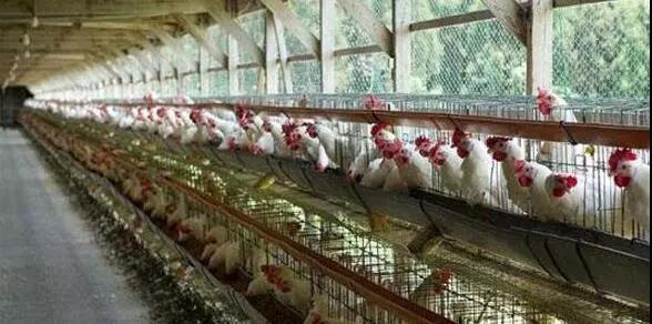 1576803760116185.jpg 微信图片_20191220085928.jpg