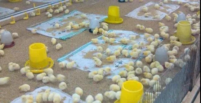 1576803769124740.jpg 微信图片_20191220085931.jpg