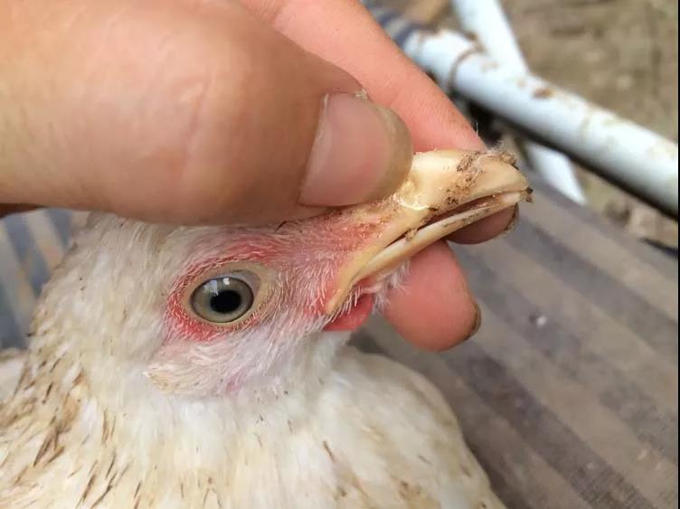 1576803779353635.jpg 微信图片_20191220085934.jpg