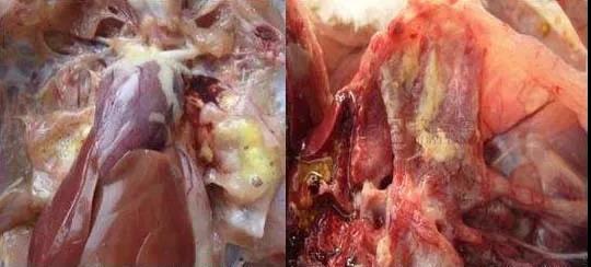 1576803788111435.jpg 微信图片_20191220085938.jpg