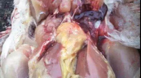 1576803810395462.jpg 微信图片_20191220085943.jpg