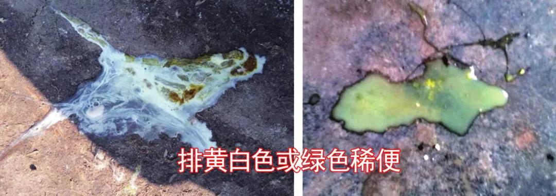 1590982292815366.jpg 微信图片_20200601112930.jpg