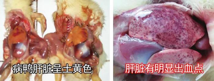 1590982295992915.jpg 微信图片_20200601112932.jpg