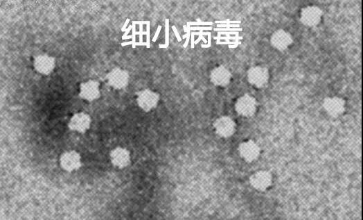 微信图片_20200720085032.jpg