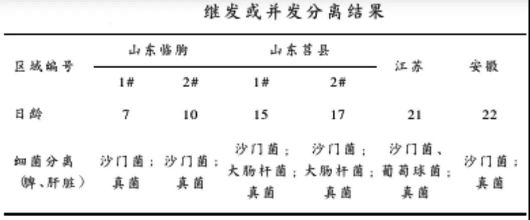 微信图片_20200720085036.jpg