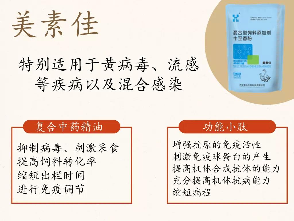 1596850505251434.jpg 微信图片_20200808093136.jpg