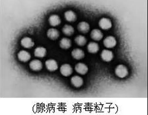 微信图片_20200911102510.jpg