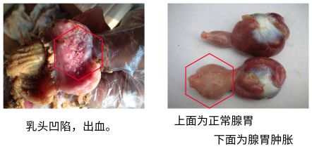 微信图片_20200914150606.jpg