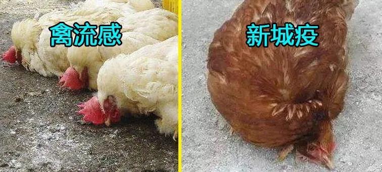 微信图片_20201008102101.jpg