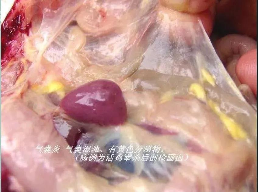 微信图片_20201026150113.jpg